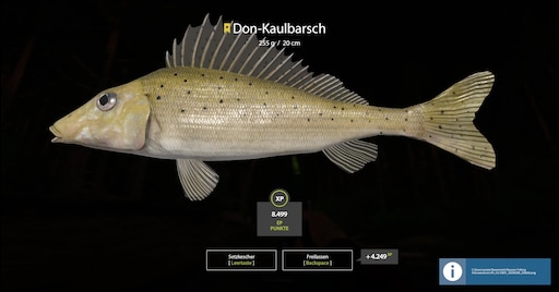 Носарь рыба фото и описание Носарь рыба фото и описание