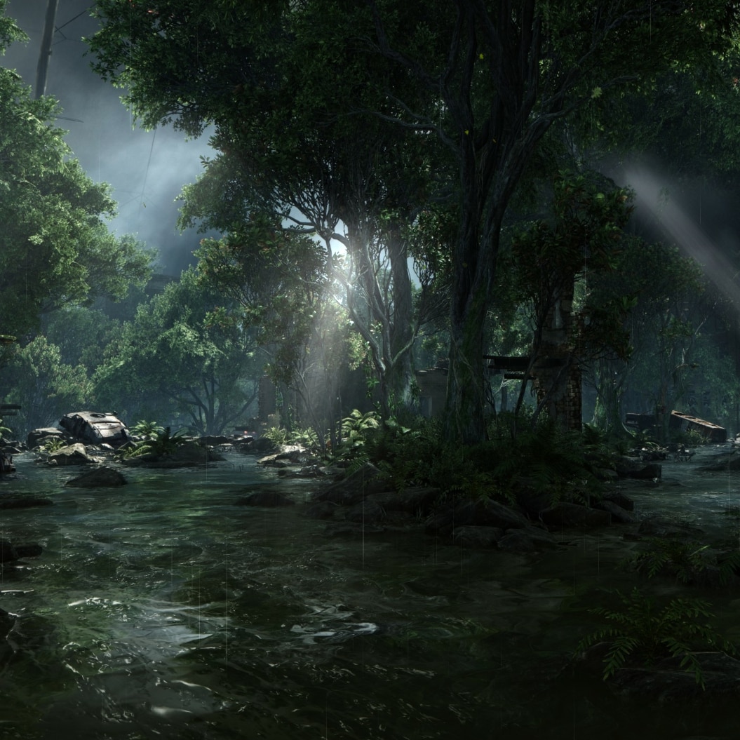 post apocalyptic forest
