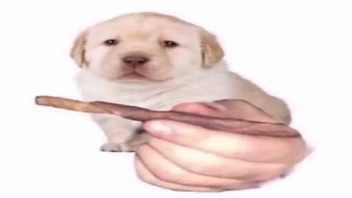 Мем собака держит собак Мем собака держит собак