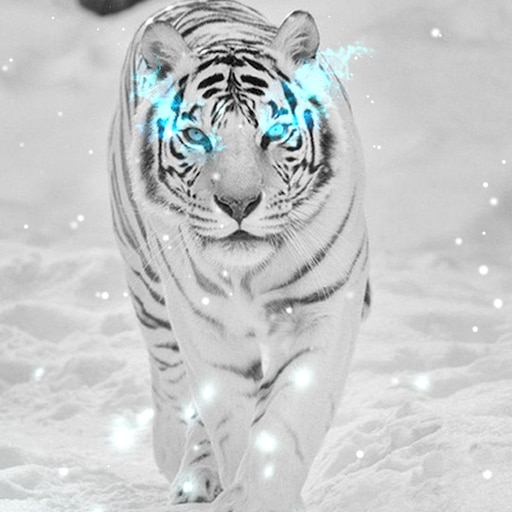 snow white tiger