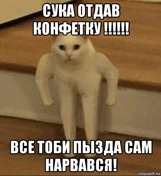Не чет не хочу пока мем Ты чет агрисивный Ни теребонькал давно , Мем Теребонька (Диб Хлебушек) Рисова