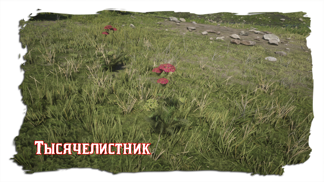Red Dead Redemption 2 тысячелистник карта. Red Dead Redemption 2 тысячелистник. Тысячелистник трава Red Dead Redemption.