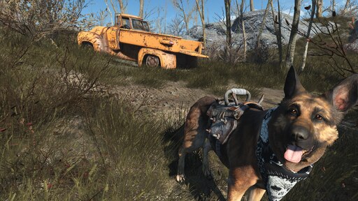 Fallout 4 4k dogmeat фото 38