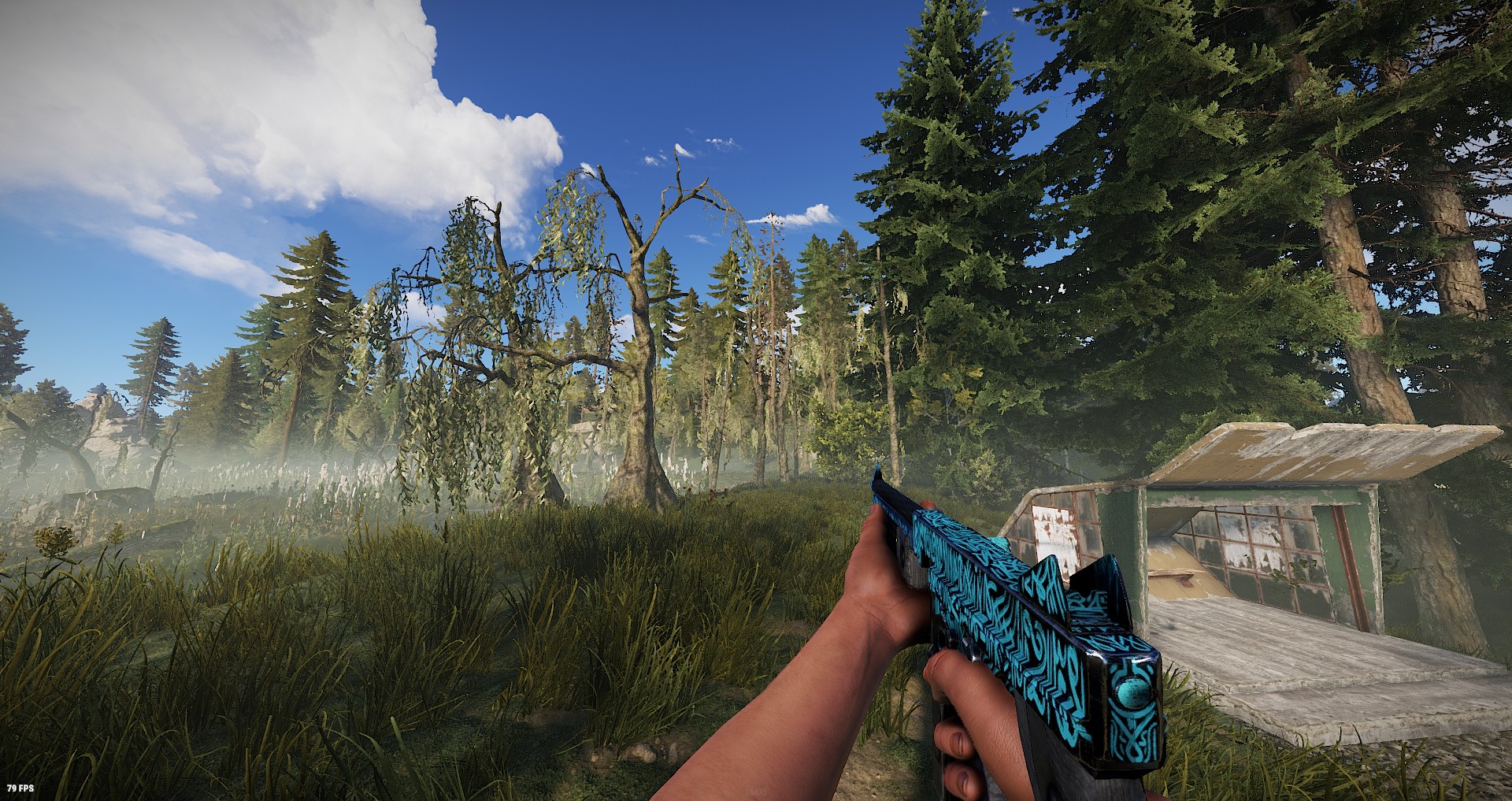 Azul Thompson thumbnail 4