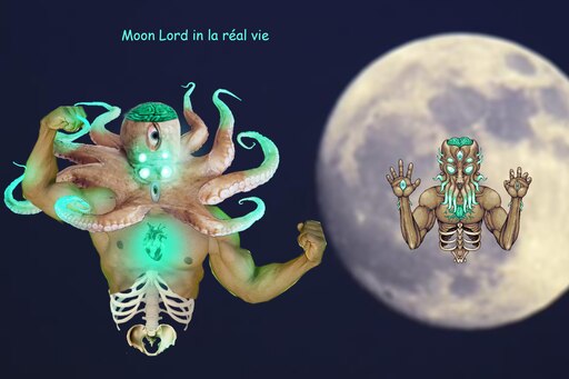 Terraria texture pack moon lord фото 75