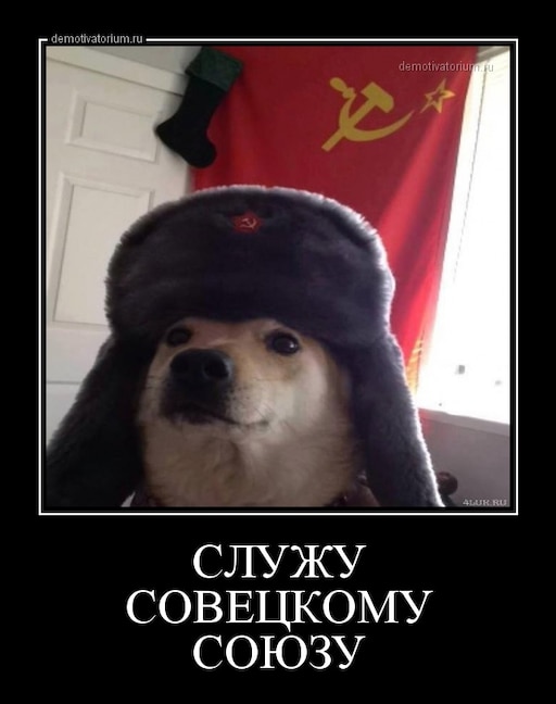 Мем кот с флагом ссср Мем кот с флагом ссср