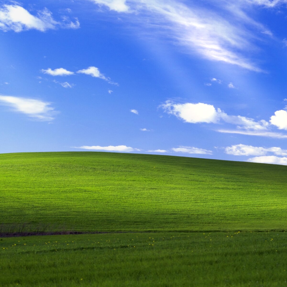 Window XP Bliss Wallpaper (4K)