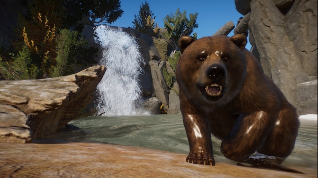 himalayan brown bear
