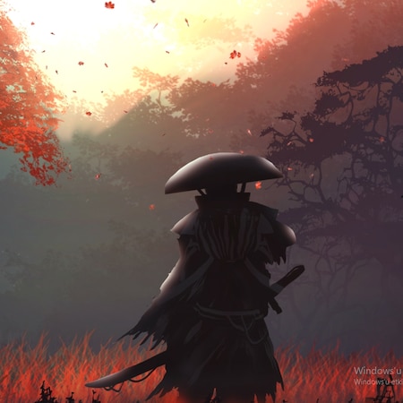 Samurai in a forest | Wallpapers HDV