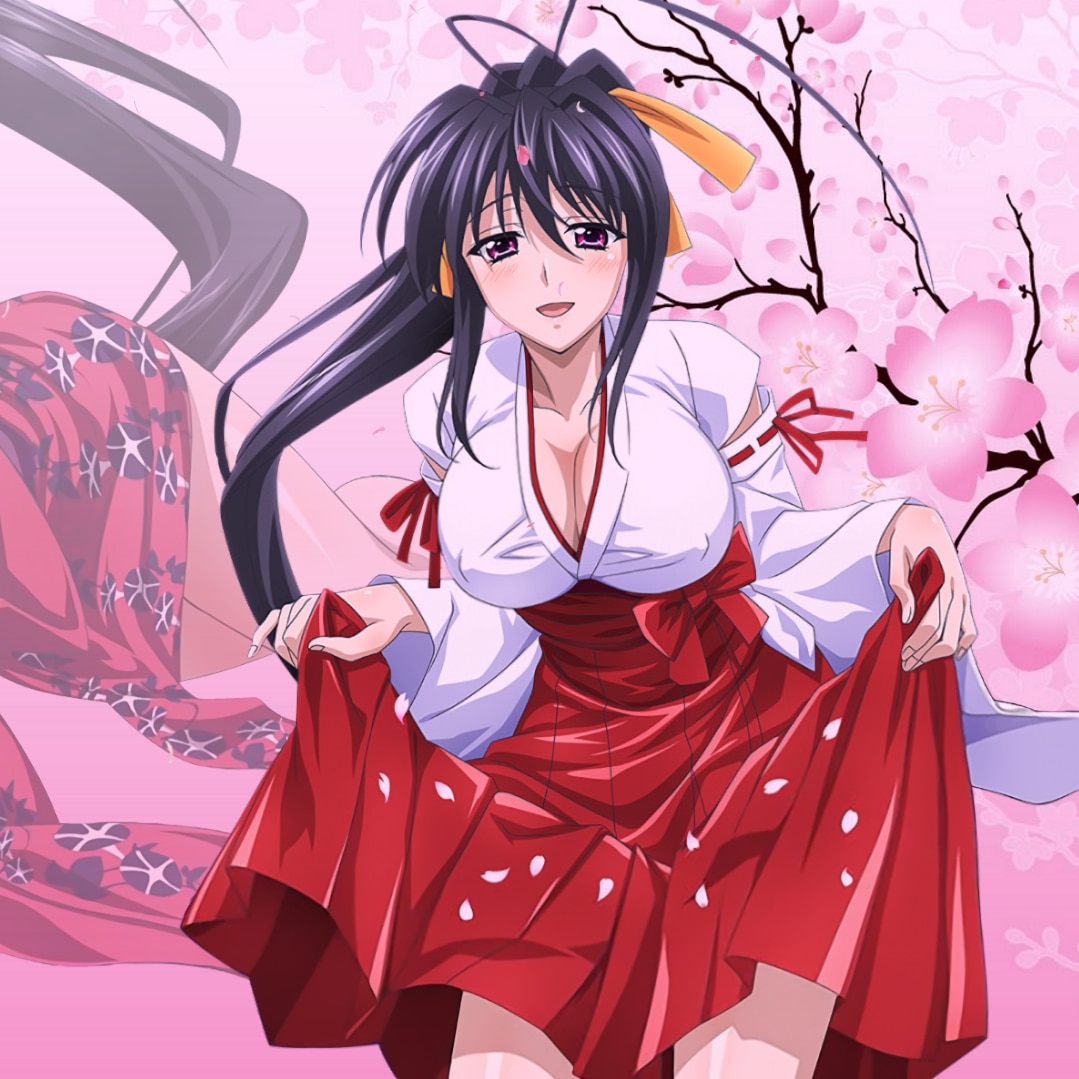 Akeno Himejima (With Music and Animations)