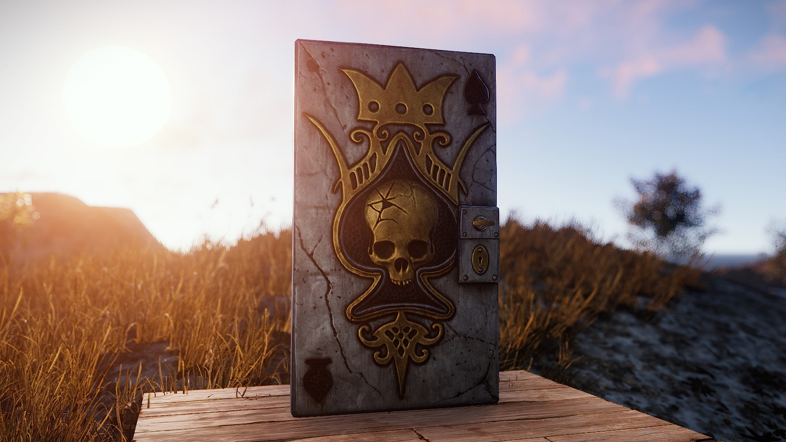 Ace Door thumbnail 3