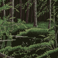 Forest Pond