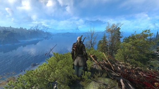 The witcher 3 community patch фото 57