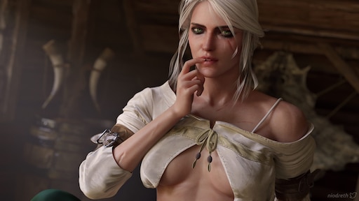 The witcher 3 priscilla the wolven storm фото 78