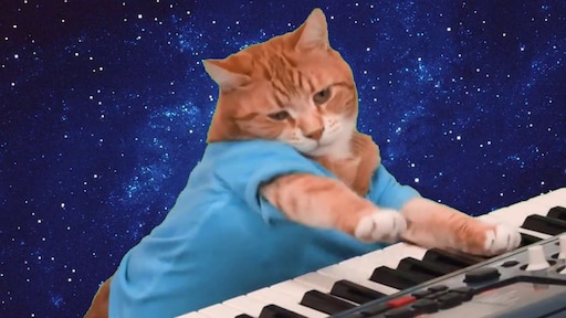 Песня кота фото Песня кота фото