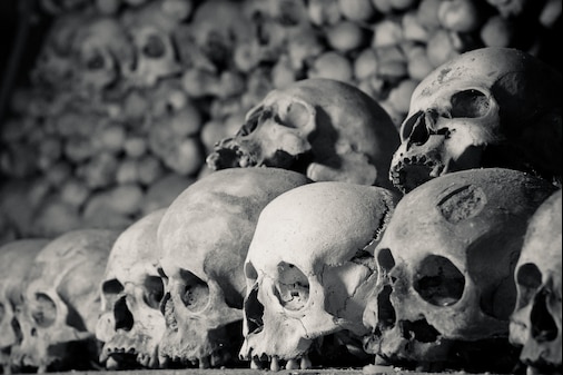 Алина загулива фото черепа Алина загулива фото черепа