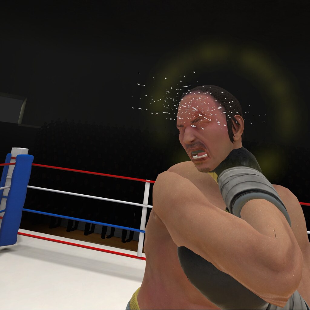 Thrill of fight store vr