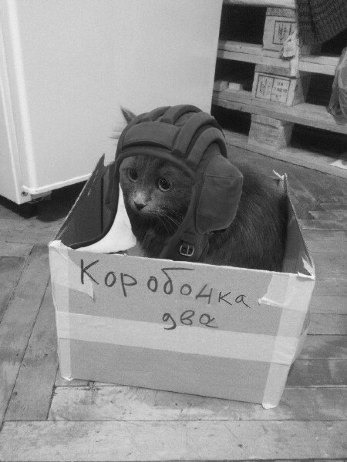 Коробочка мем. Коробочка хорони. Коробочка хорони ребят Мем. Коробочка 2 хорони ребят. Коробочка 2 хорони ребят мемы