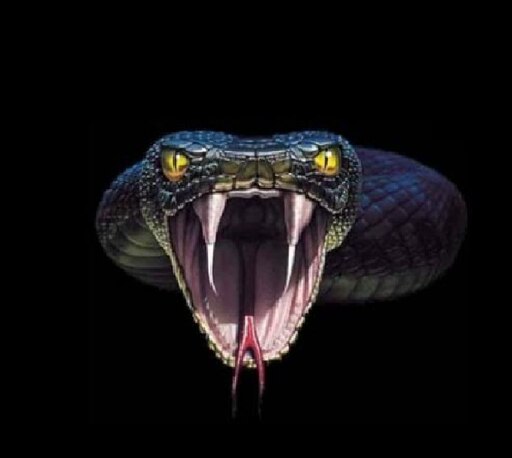 Аватарка змея фото Аватарка змея фото