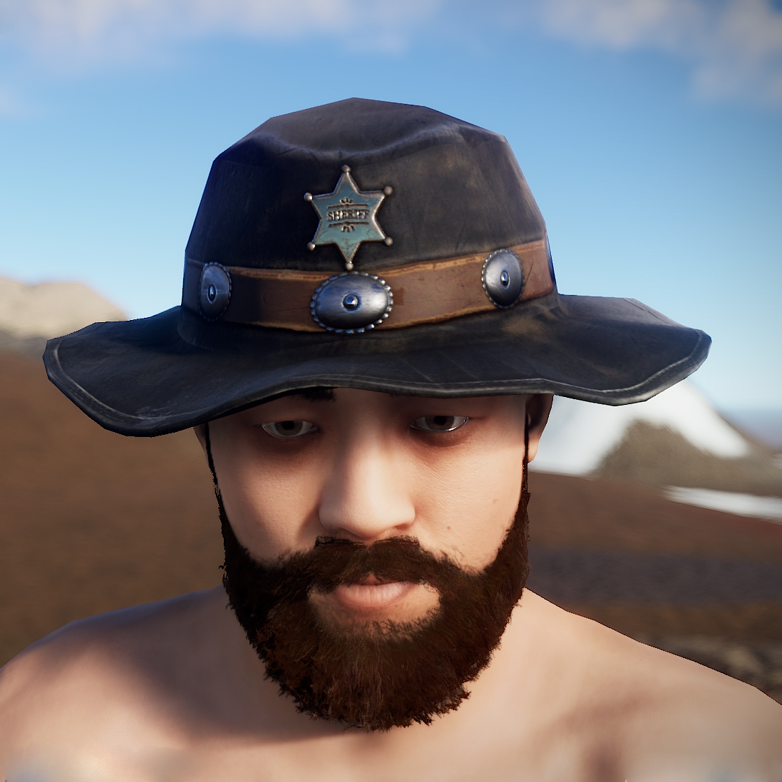Cowboy Sheriff Hat thumbnail 5
