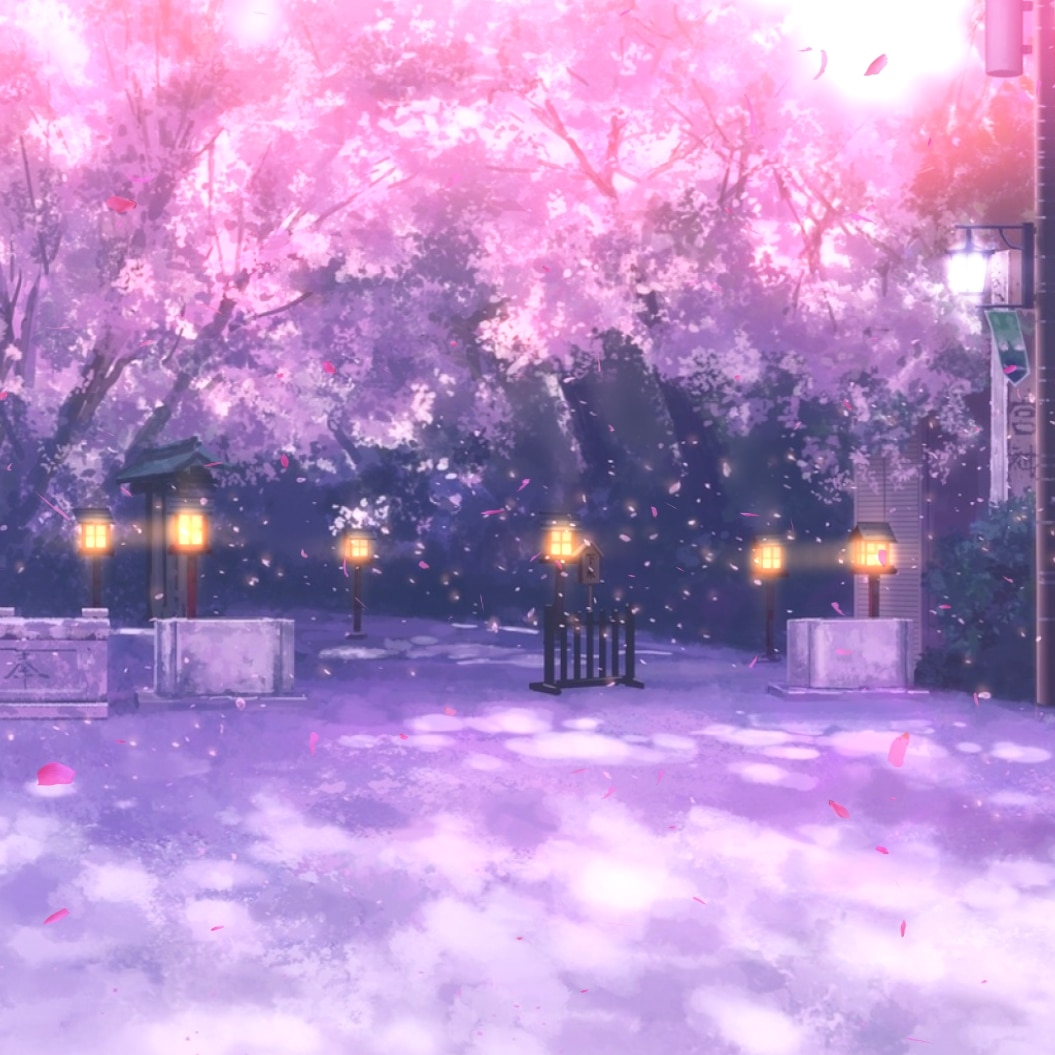 Sakura Street