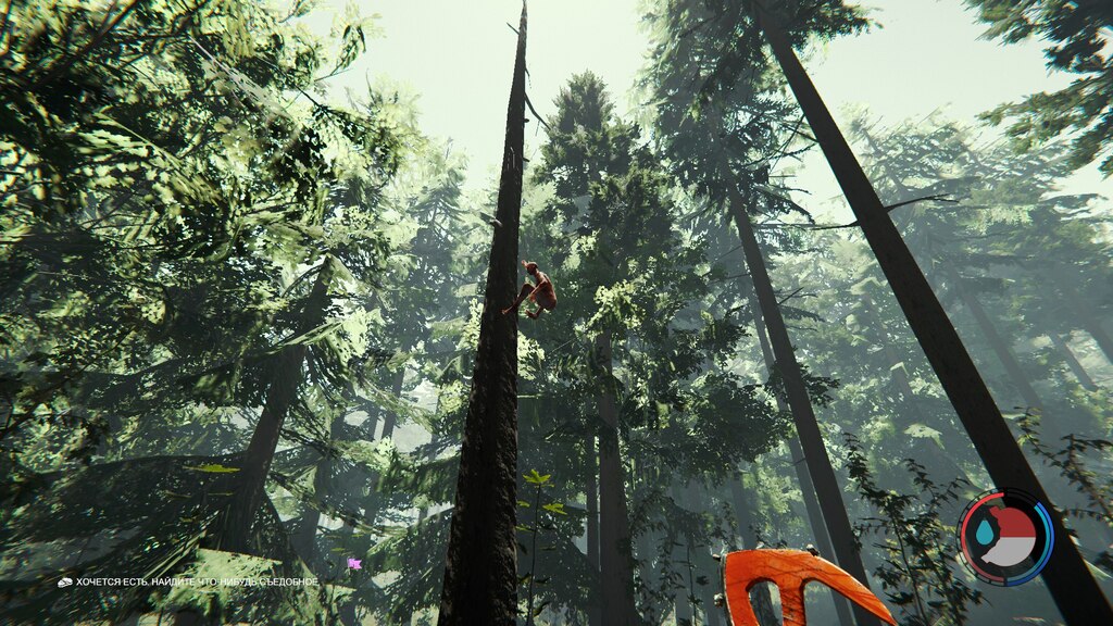 The Phantom Forest On Steam _ Steam Community :: Sons Of The Forest – OFEOU