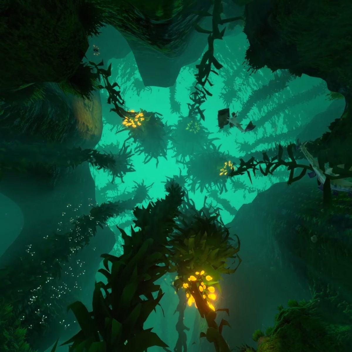 Subnautica Kelp Forest