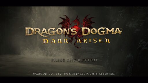 Dragon dogma стим фото 46