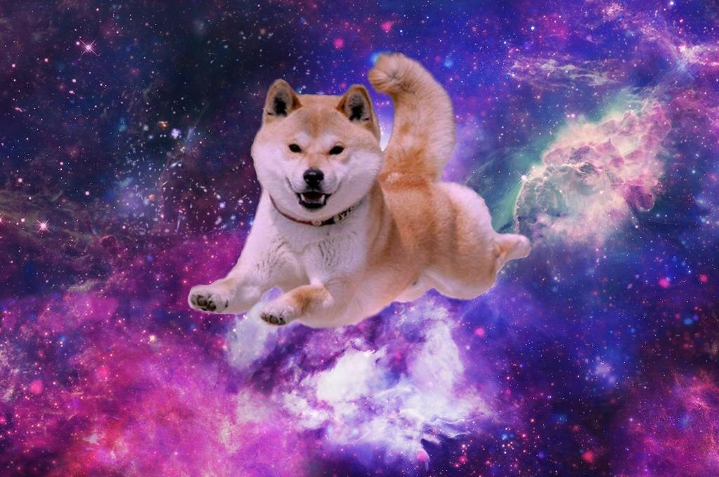 doge universe