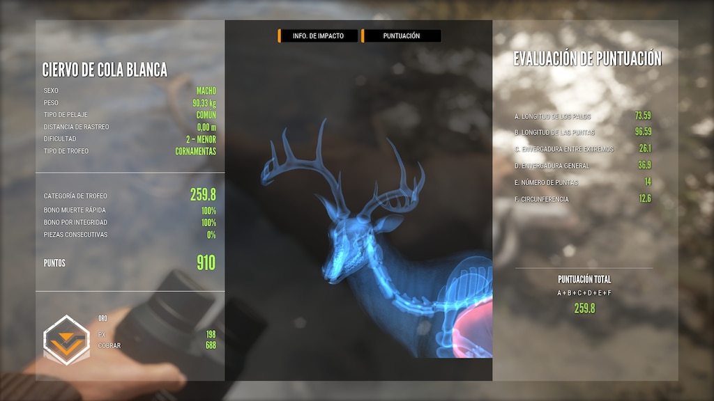 TOP 5 WHITETAIL ?imw=1024&imh=576&ima=fit&impolicy=Letterbox&imcolor=%23000000&letterbox=true