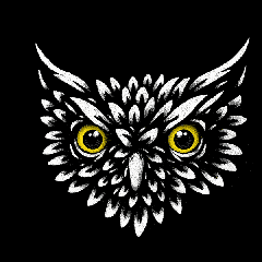 Animated Owl Head