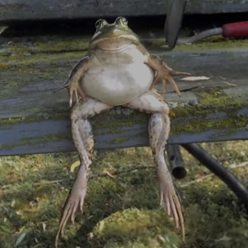 Steam Workshop Phrog