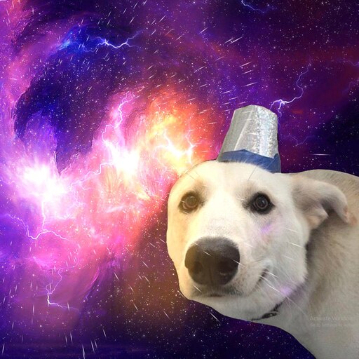 Steam Workshop::Space Doggo