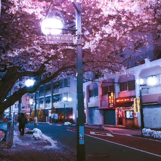 Steam Workshop::Sakura Japanese Street