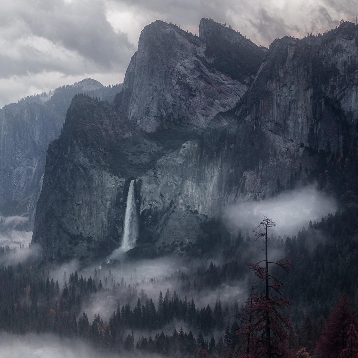 mountain fog