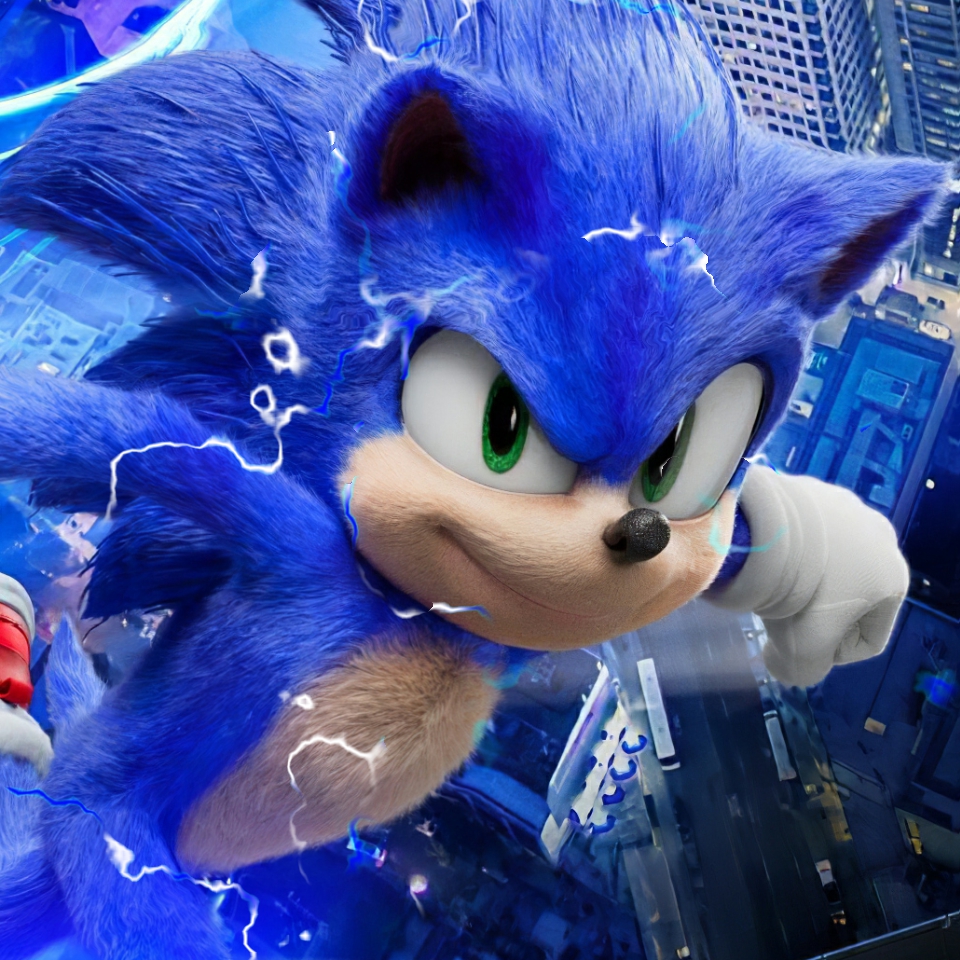 Соник в реальной жизни картинки