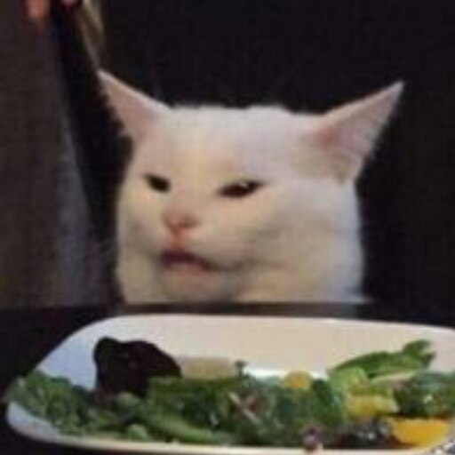 Cat at 2025 dinner table