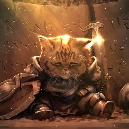 Skyrim cat