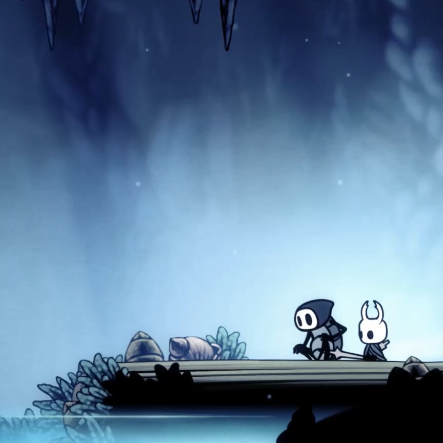 Hollow Knight: Witness