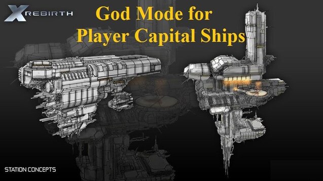 Player Owned Capital Ships