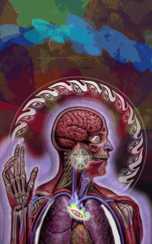 tool lateralus god