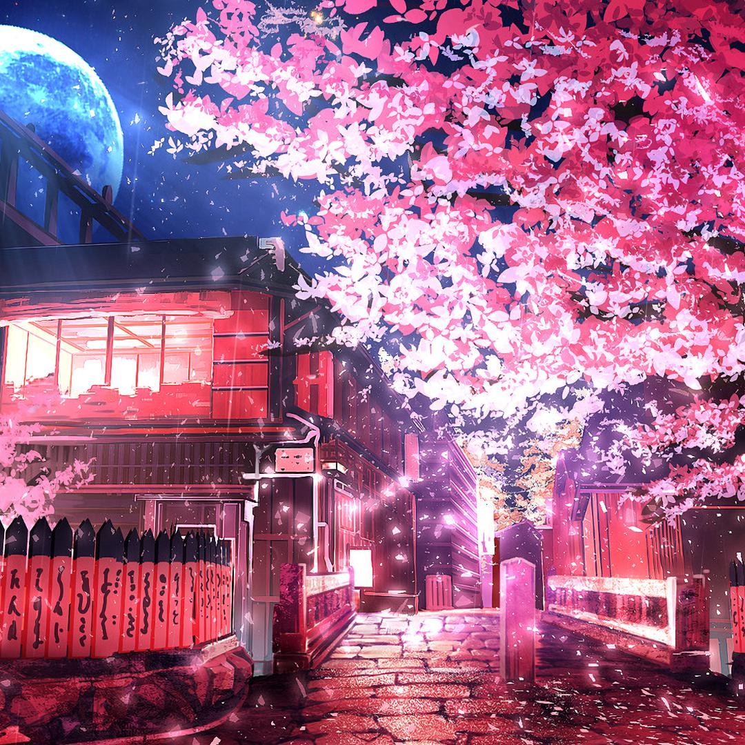 sakura