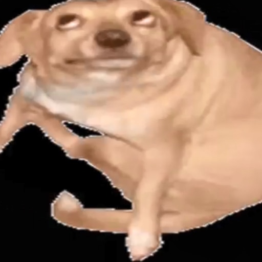 Мем собака бьет в кастрюлю Мем собака бьет в кастрюлю