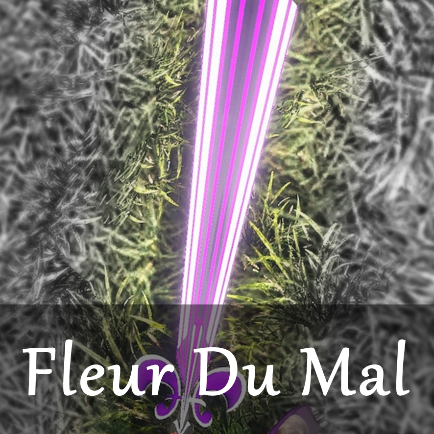 Steam Workshop :: Fleur Du Mal