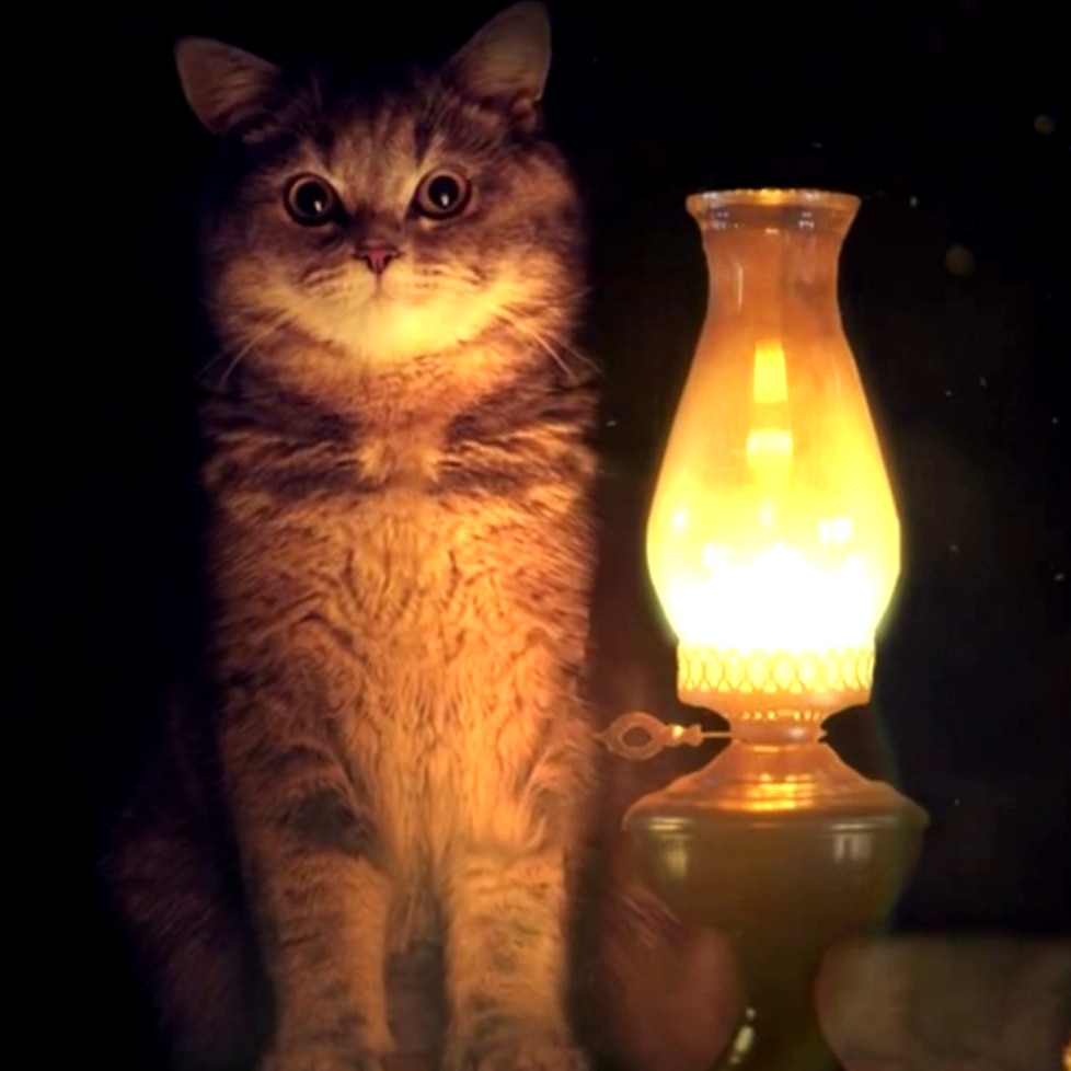 Lamp and Cat 720p