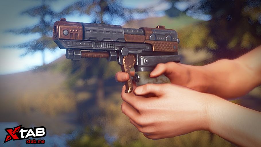 Looter's SAP thumbnail 4
