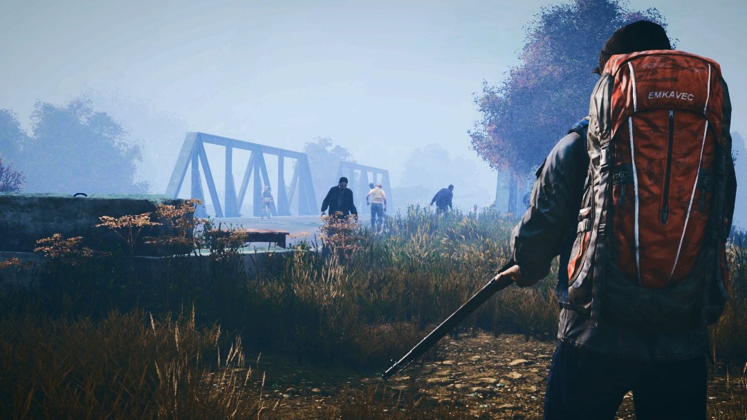 Дейз красивые картинки