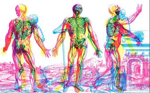 Анатомия твц. Анатомия фон. Тело человека. Анатомическая картина человека. Анатомия человека обои.