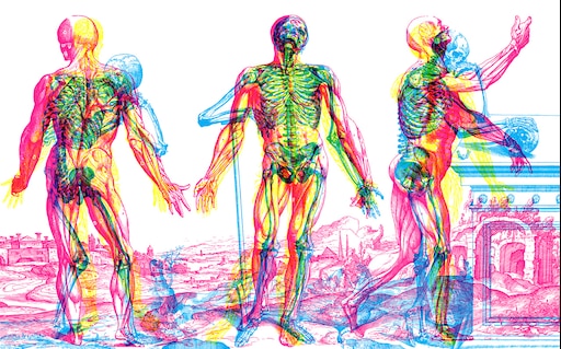 Найди human. Анатомия фон. Тело человека. Анатомическая картина человека. Анатомия человека обои.