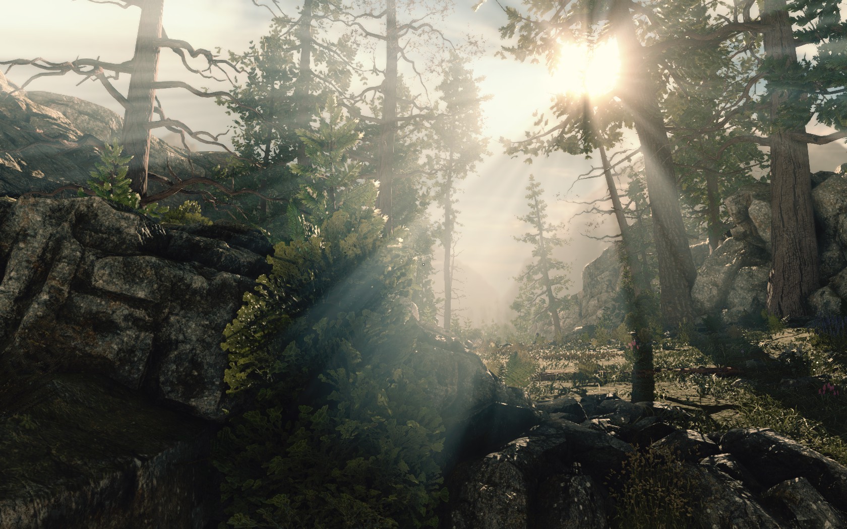 sniper elite v2 torrent opens steam